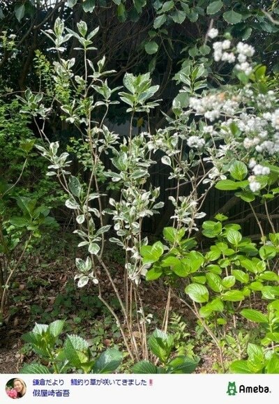 假屋崎省吾の公式ブログ投稿