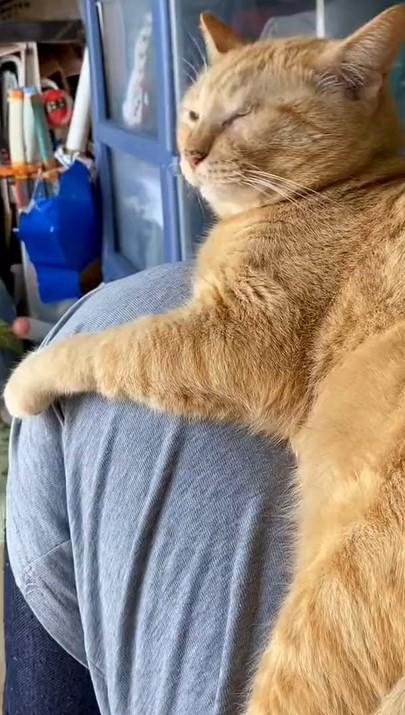 出所：@luna7taka9