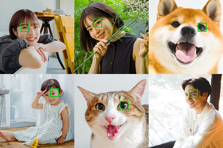 出所：ソニー「Xperia 5 IV」