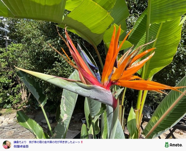 出所：假屋崎省吾のAmebaブログ 参照日：2025年10月8日