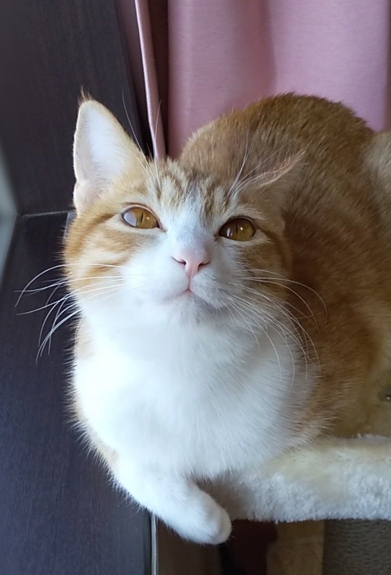 出所：@mero627puri914