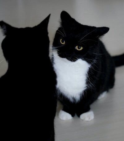 出所：@unicouniuni3