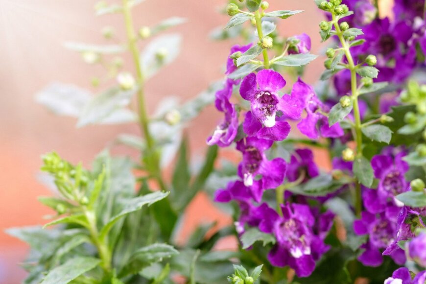 3283197d_273/istockphoto.com