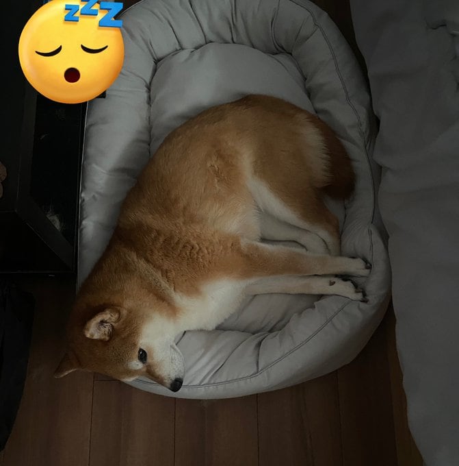 出所：@ohirune190303