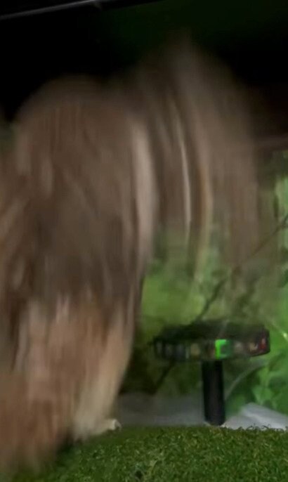 出所：@cr8673.hiro