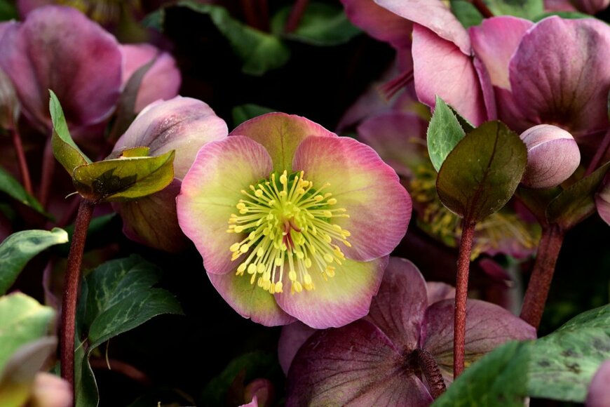 Mike Russell/shutterstock.com