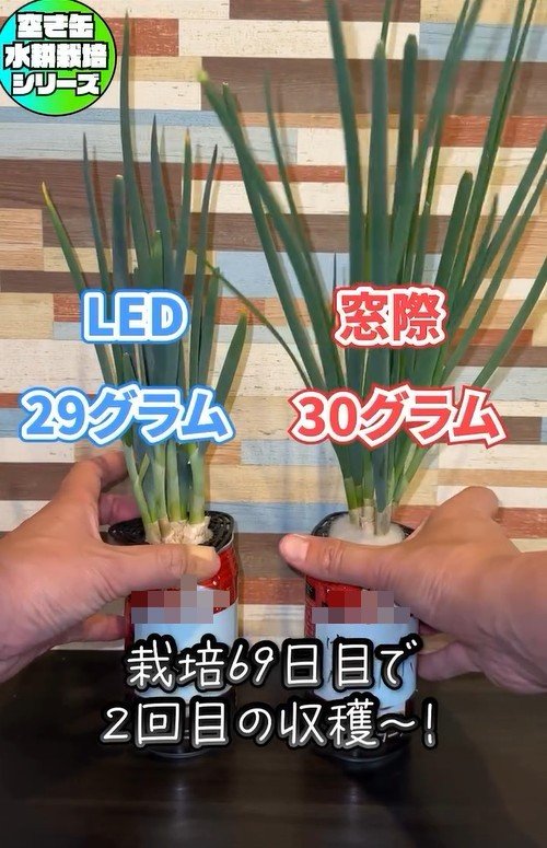 出所：mikanbo_ya19_87