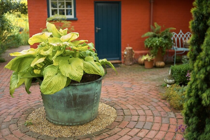 villemel/shutterstock.com