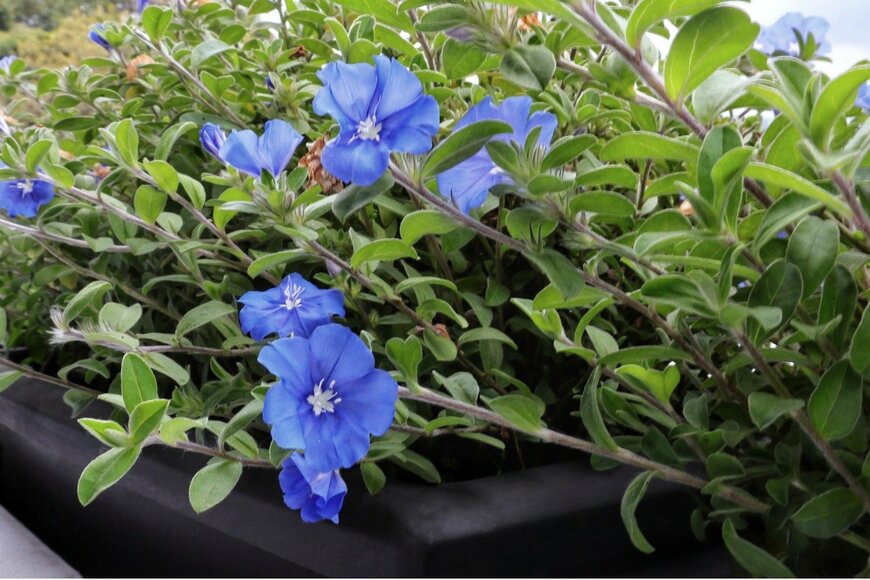 Riocool/istockphoto.com