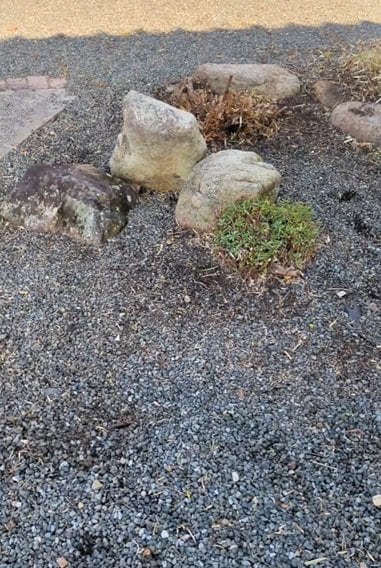 出所：@kusakari.zamurai