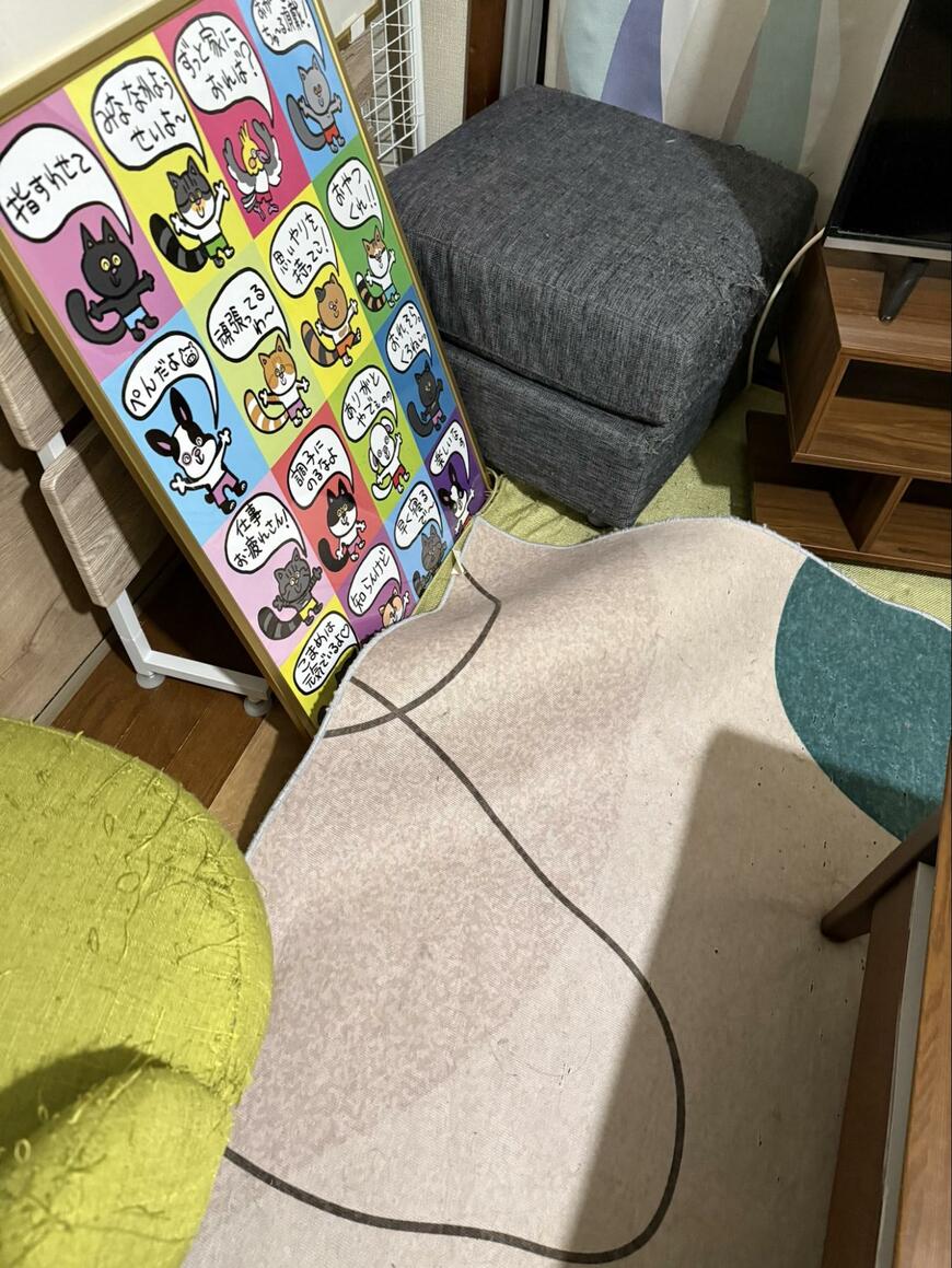 猫が「急にいなくなった？」と思ったら　まさかの「隠れ場所」にホッコリ