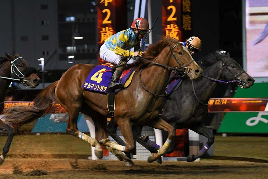 出所：川崎競馬