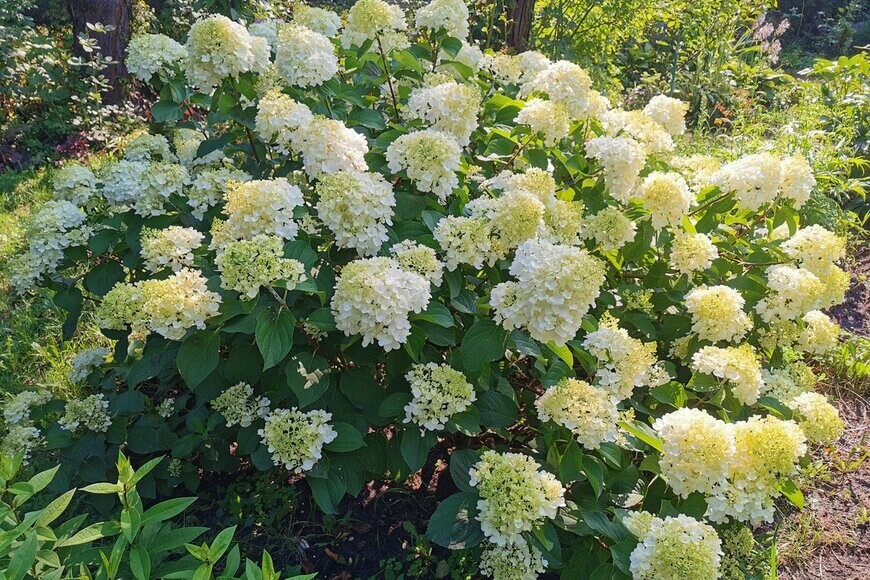 Zoya Pustovoyt/Shutterstock.com