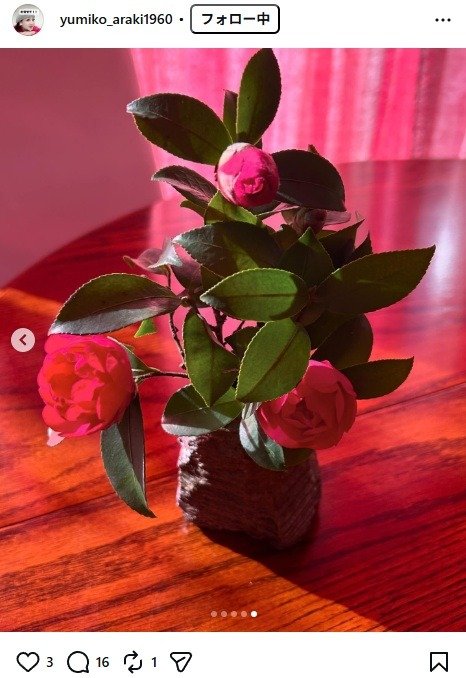出所：荒木由美子のInstagram（＠yumiko_araki1960） 参照日：2026年1月29日