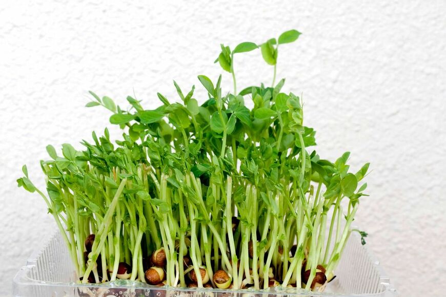 karimitsu/istockphoto.com