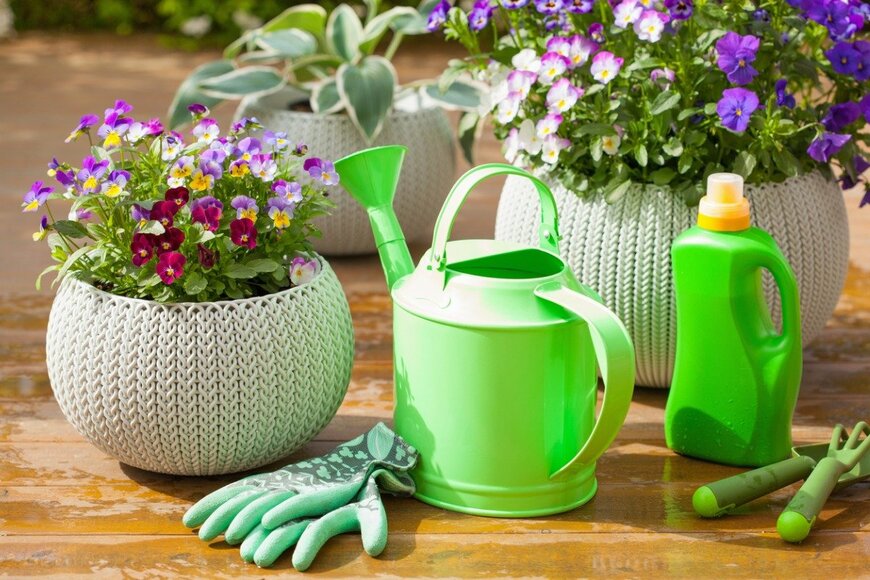 OlgaMiltsova/istockphoto.com