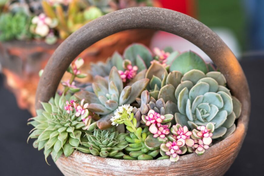 Watchara Chuenchomnoi/shutterstock.com