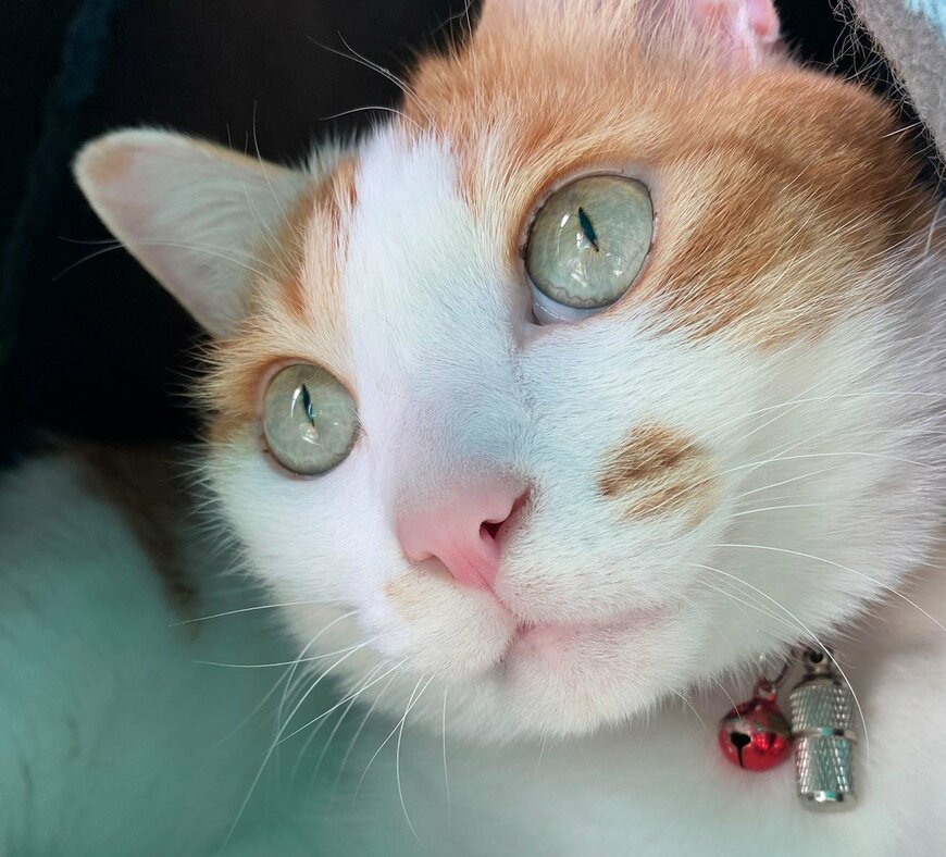 出所：@luna7taka9