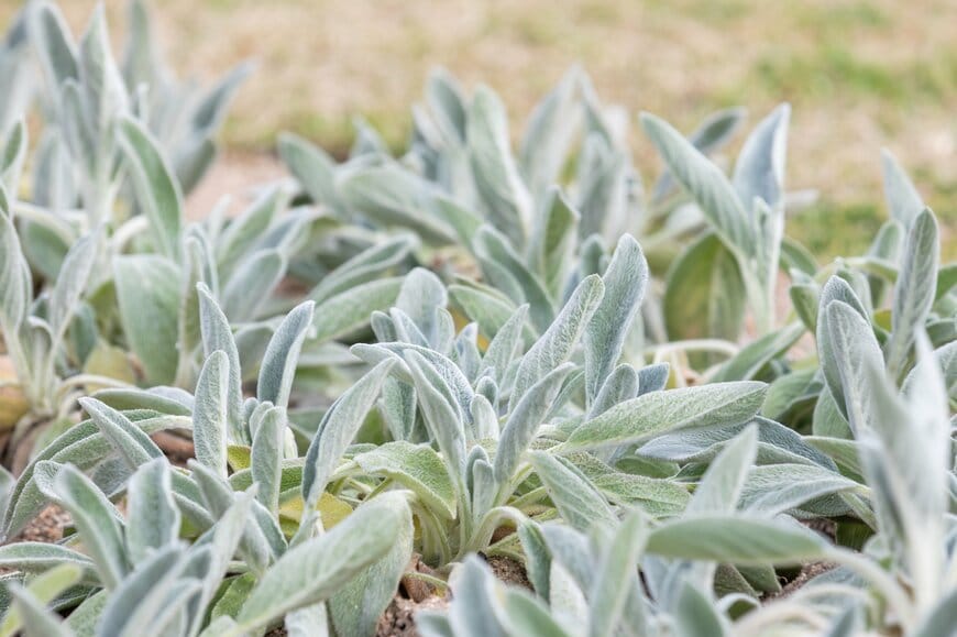 two K/shutterstock.com