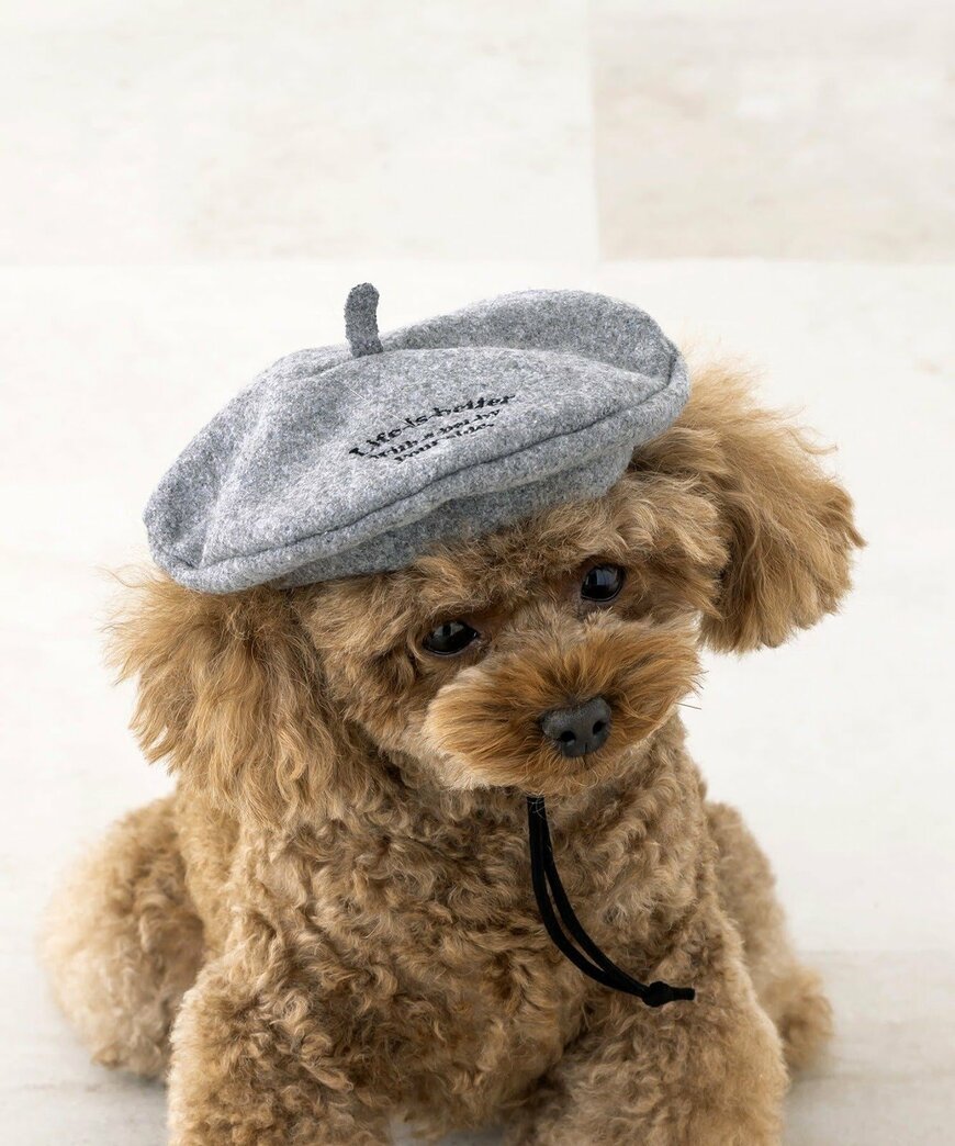 出所：パルグループ公式ファッション通販サイト 3COINS ベレー帽