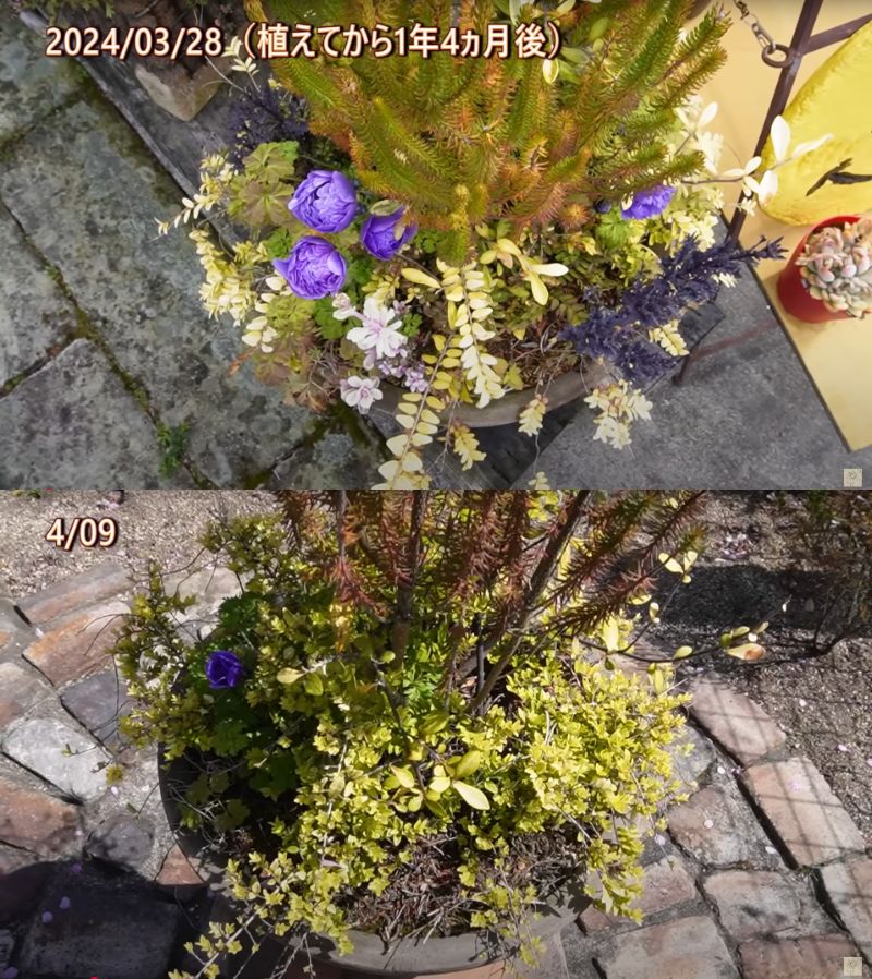 出所：@ohanachannel30