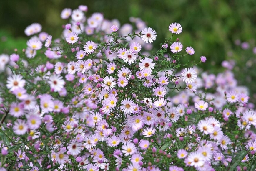 Alex Manders/shutterstock.com