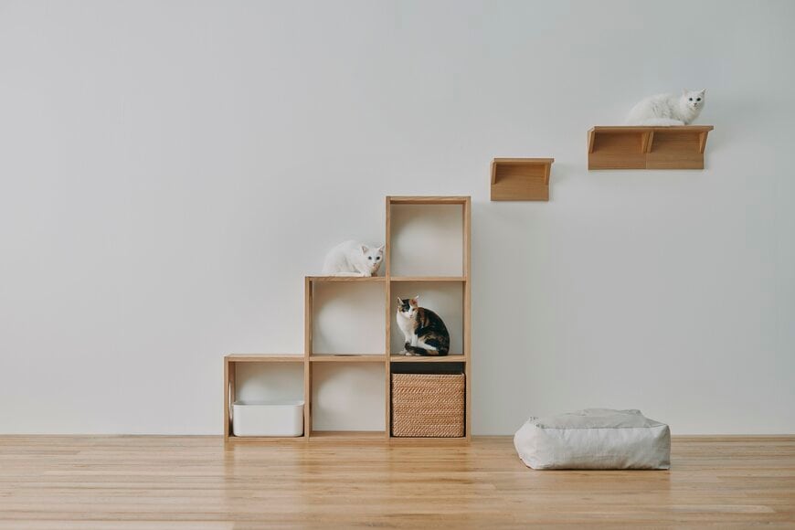 猫関連商品