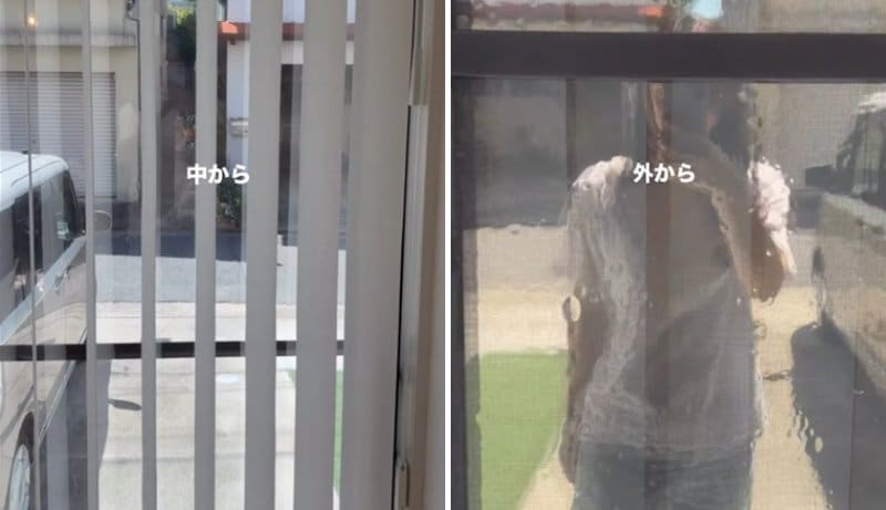 投稿の画像