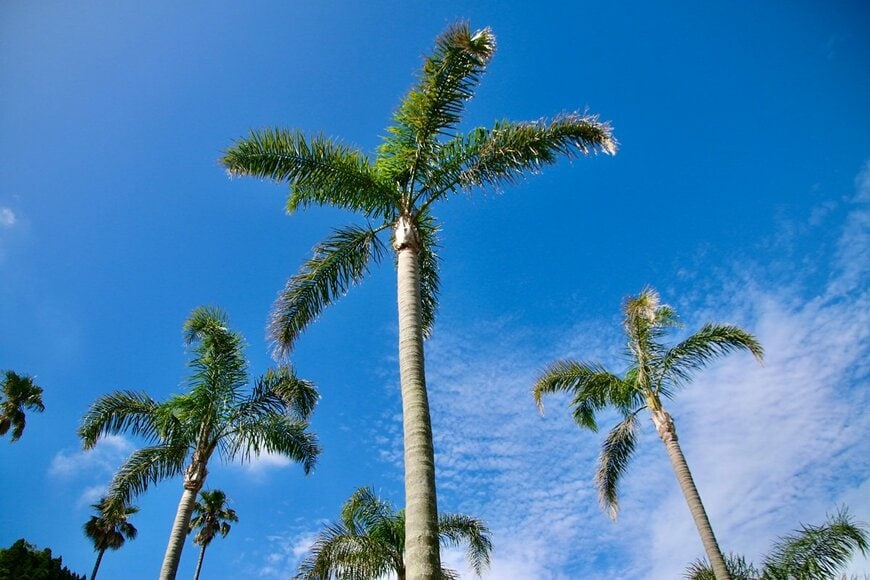 宮崎県の2024年観光消費額は「1716億5800万円」