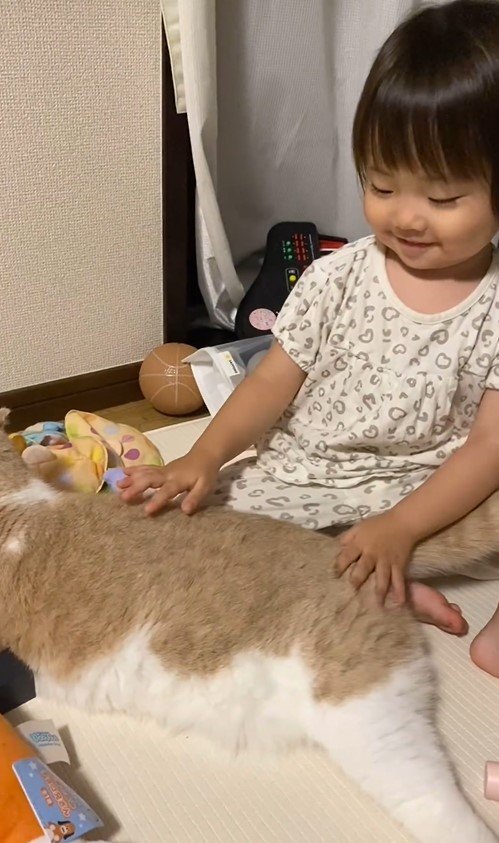 娘さんと猫