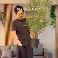 簡単なのに超おしゃれ！築古賃貸の壁DIYで「余った吸音パネル」→観葉植物の「おしゃれ鉢カバー」爆誕！