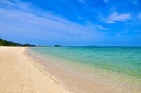 新潟県・親不知海岸で拾った「ビカビカ石」　おいしそうな肉にしか見えないビジュアルが話題「これはA5ランク」