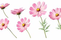 自治体が独自で行う給付金、どんなものがある？補助金や助成金など3つの事例をご紹介！！