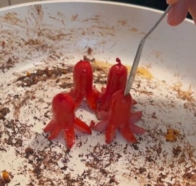 投稿動画のワンシーン