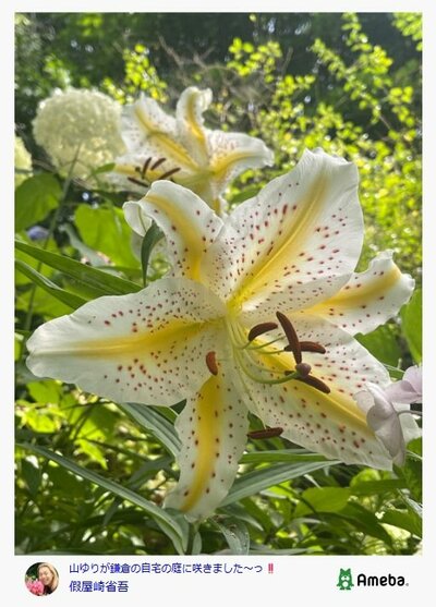 假屋崎省吾のAmebaブログ投稿