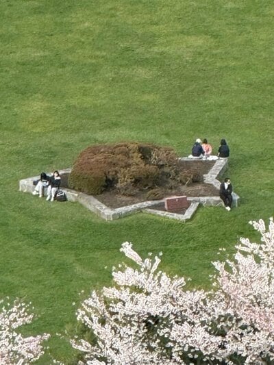 投稿の画像