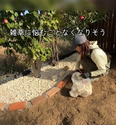投稿の画像