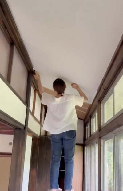 投稿動画のワンシーン