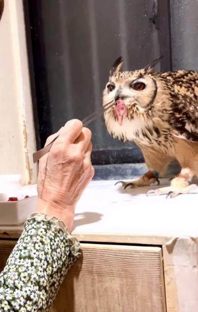 投稿動画のワンシーン