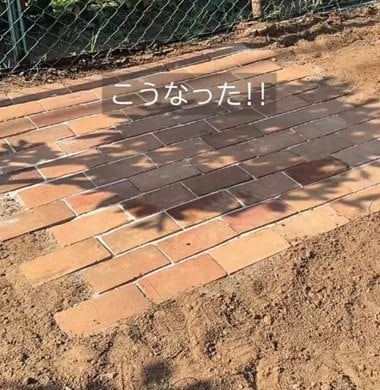 投稿の画像
