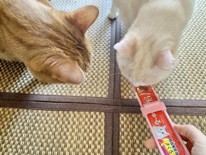 スライダーを動かし、中身を少しずつ出していきます