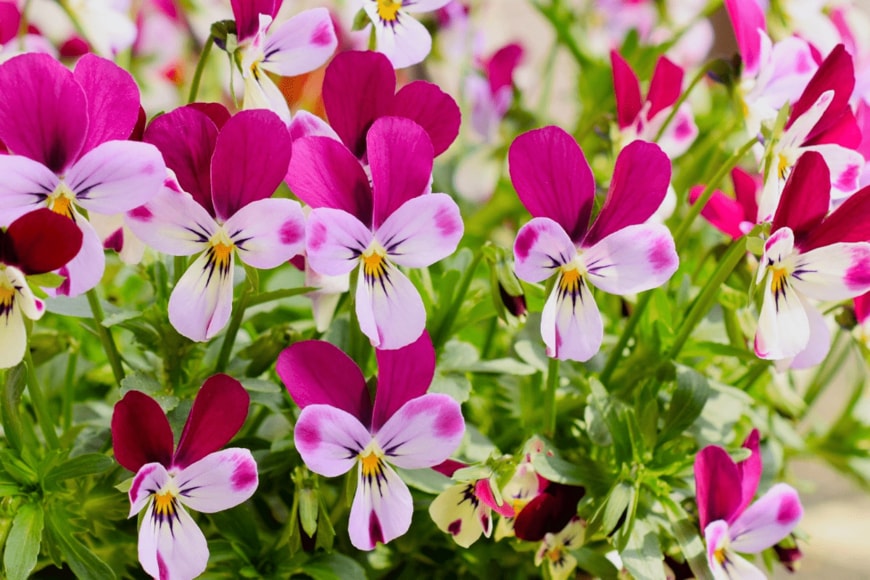 syan/istockphoto.com