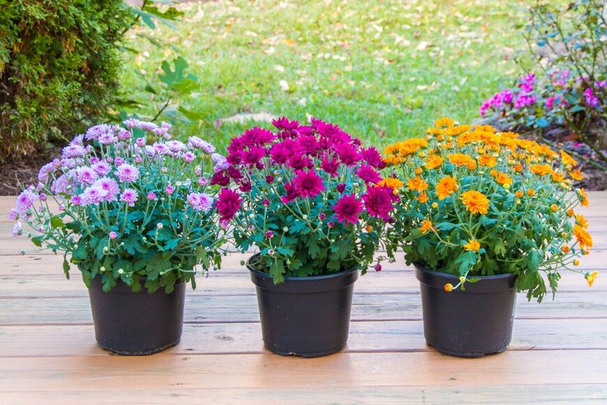 volgariver/istockphoto.com