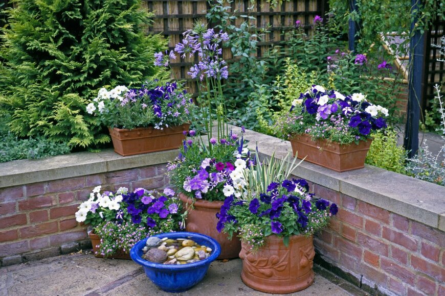 Gardens by Design/shutterstock.com