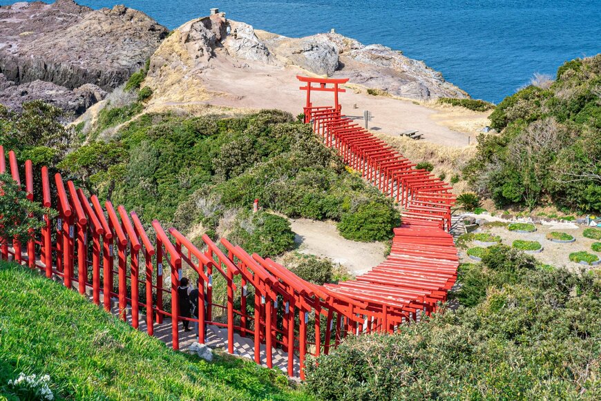 【山口・元乃隅神社】SNS映え抜群！海へと続く鳥居を写した光景が圧巻