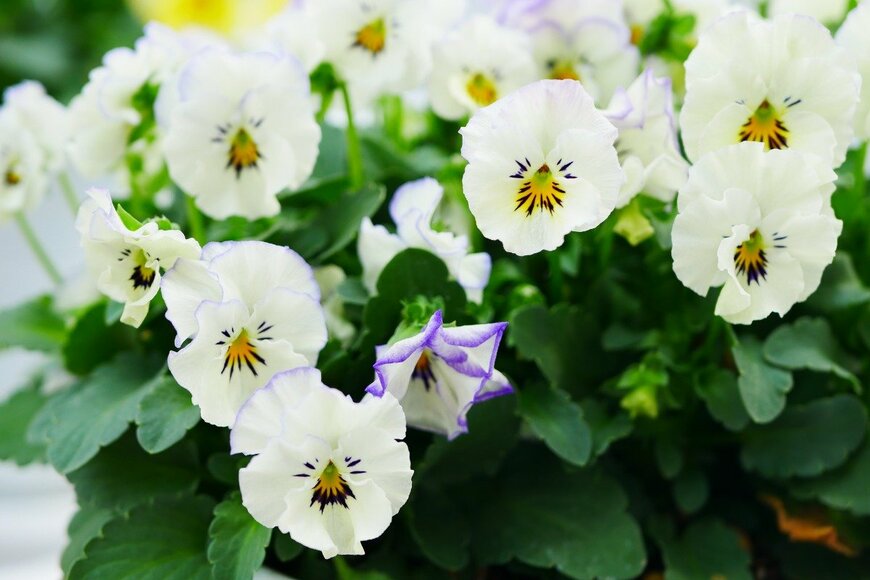 croquette/istockphoto.com