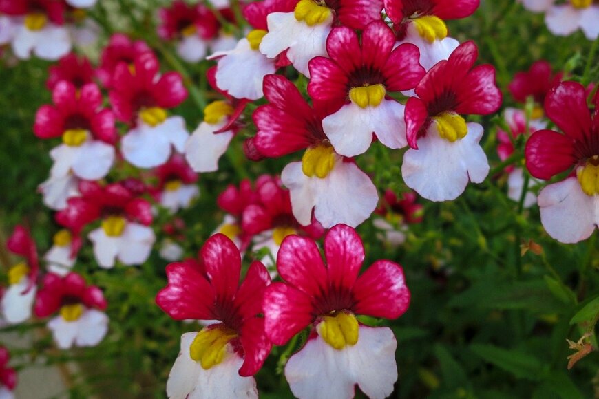 Marina Denisenko/istockphoto.com