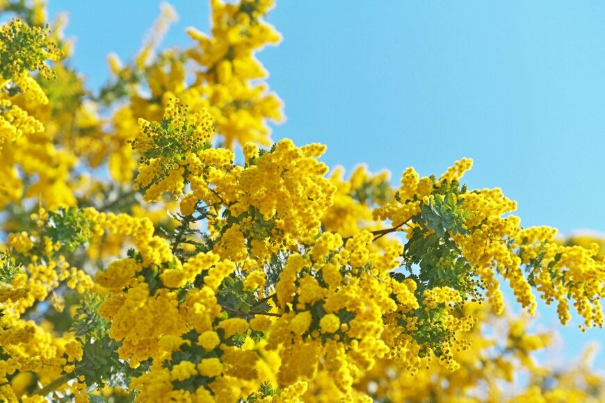 igaguri_1/istockphoto.com