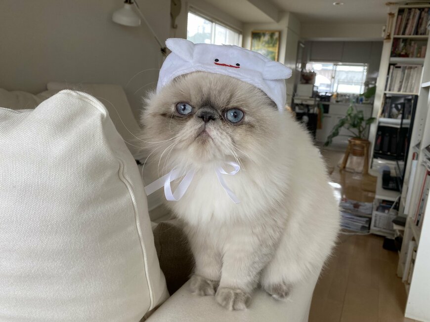 『おばけのキャップコスチューム』おばけの手のびろびろと首もとで結ぶリボンがかわいい。