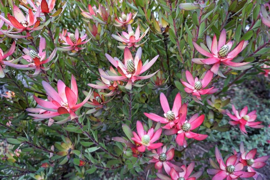 mlawin/shutterstock.com